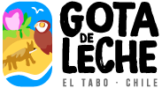mejores casas de apuestas